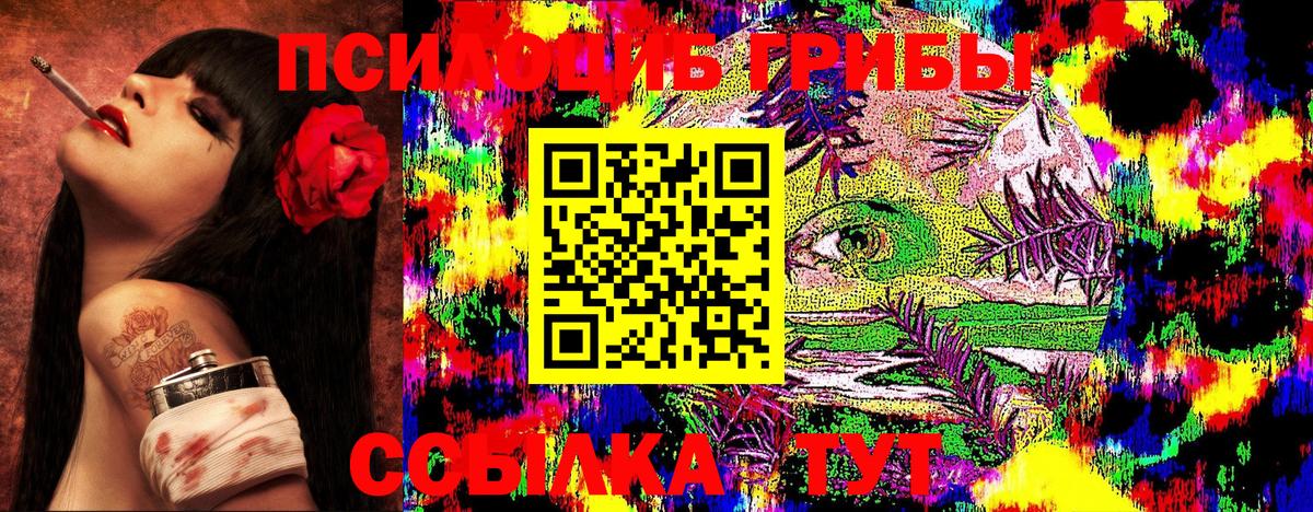 Галлюциногенные грибы Psilocybine cubensis  Вход с VPN  Киселёвск 