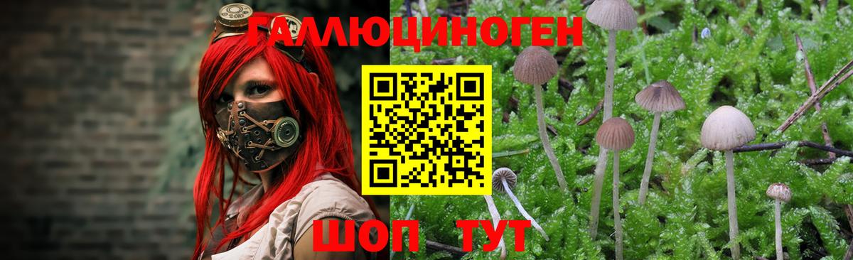 Галлюциногенные грибы ЛСД Киселёвск